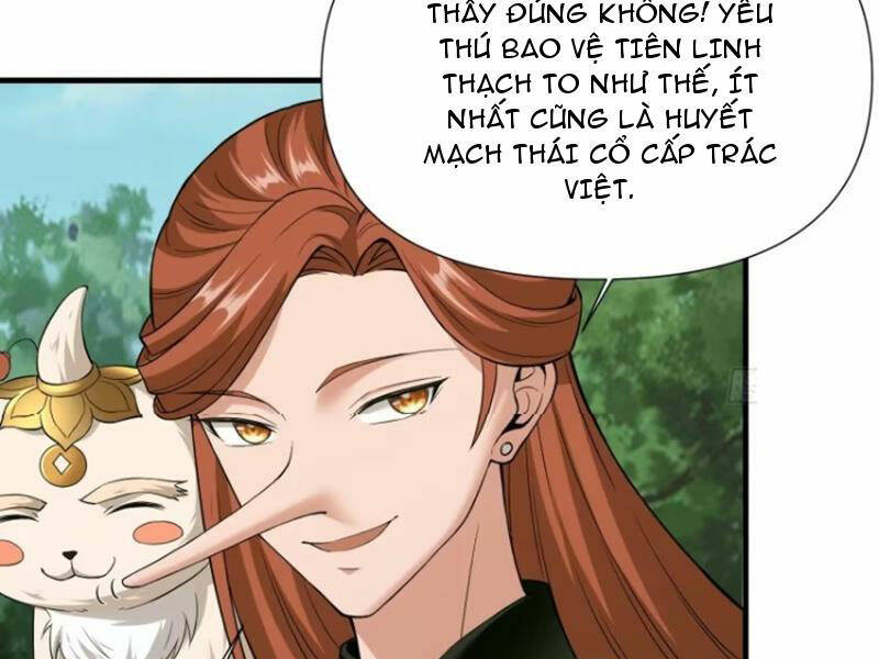 Thái Cổ Yêu Thánh Lấy Ta Làm Lô Đỉnh Chapter 13 - Trang 2