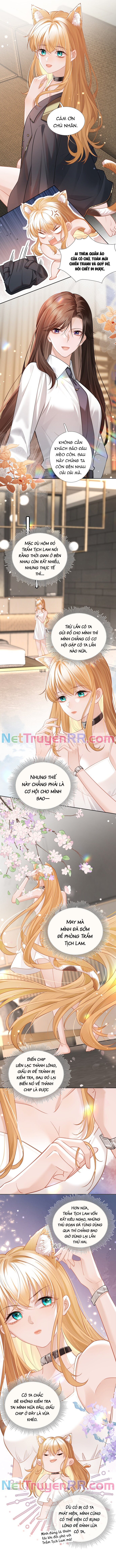 Trưởng Quan, Đuôi Của Cô Bị Lộ Rồi Kìa Chapter 3 - Trang 2