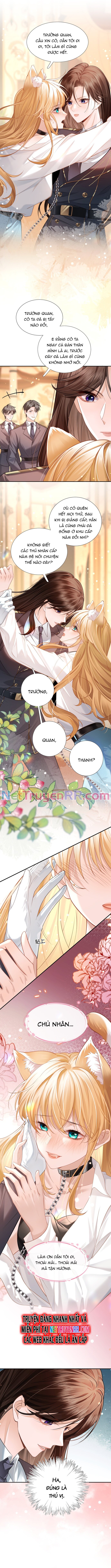 Trưởng Quan, Đuôi Của Cô Bị Lộ Rồi Kìa Chapter 1 - Trang 2