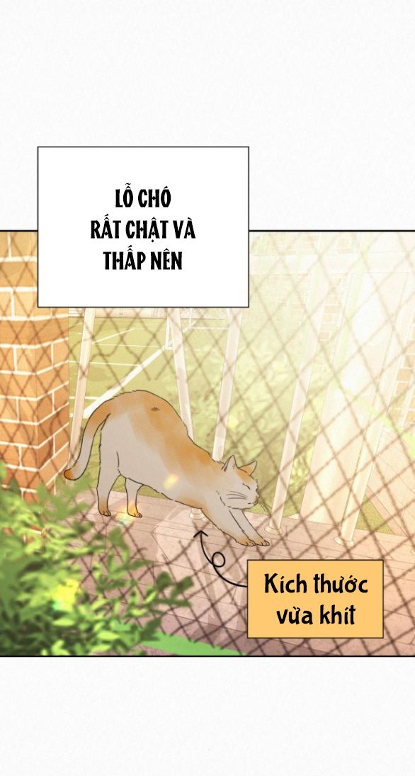 Tình Yêu Trong Sáng Chapter 45 - Trang 2