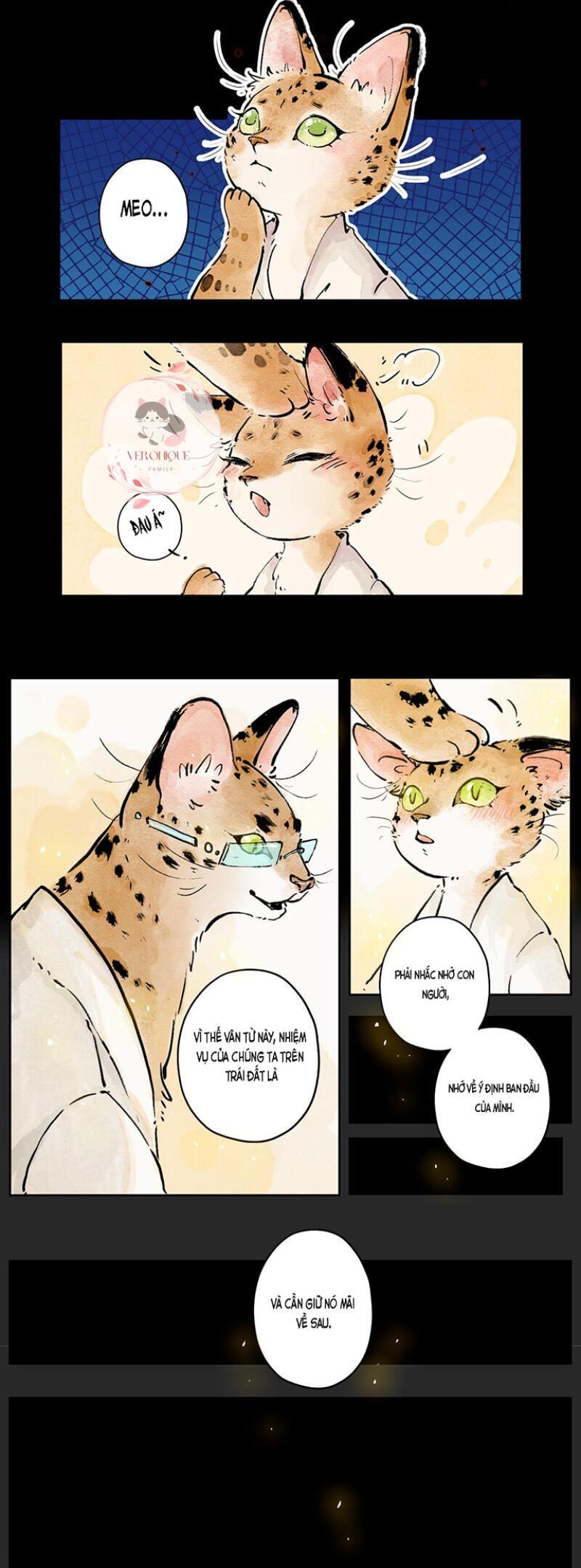 Ngũ Miêu Chapter 4 - Trang 2