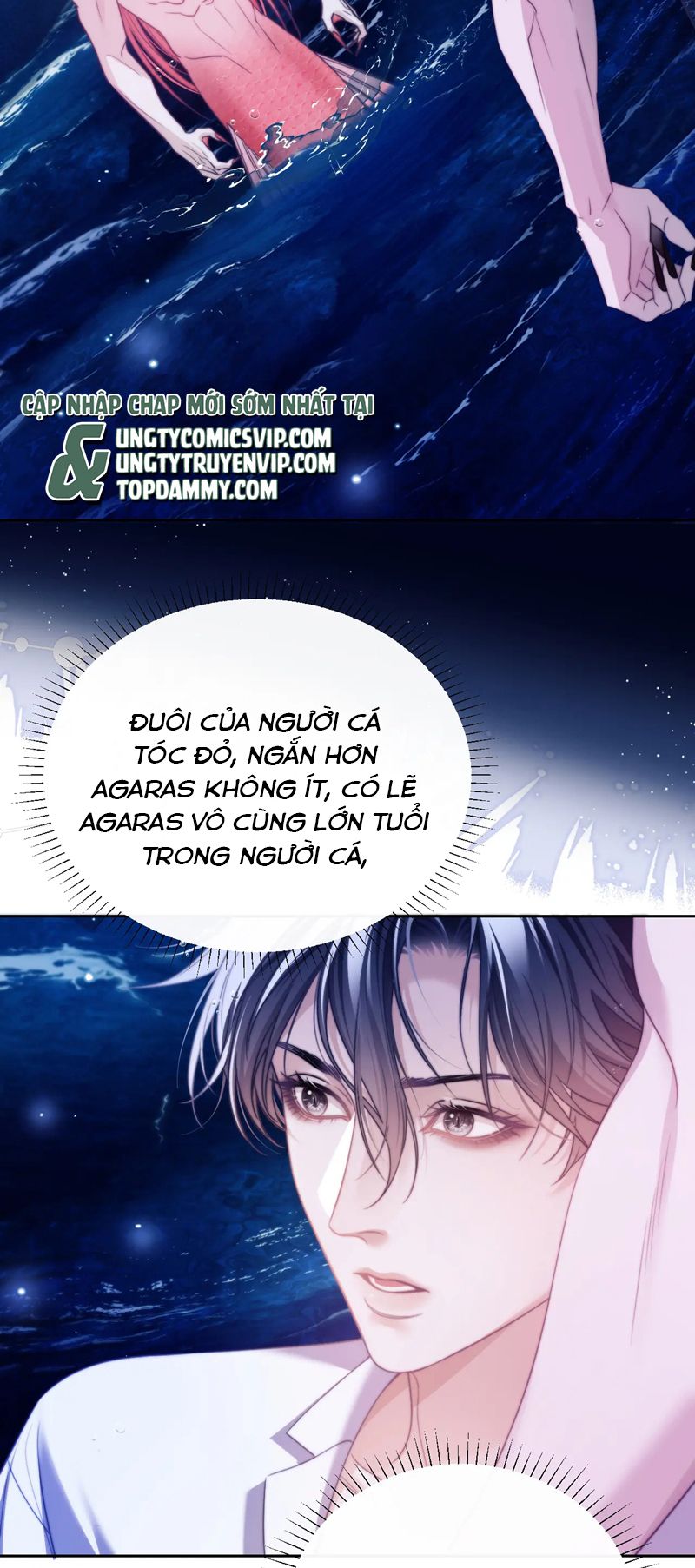 Desharow Nhân Ngư Chapter 34 - Trang 2