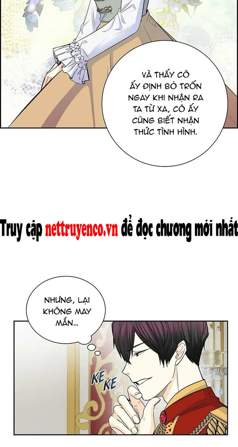 For Stella – Vì Stella Chapter 38 - Trang 2