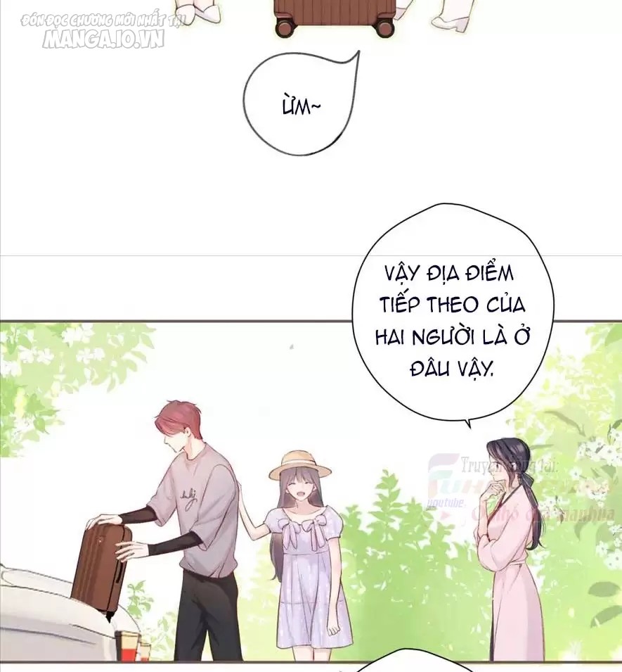 Bảo Vệ Siêu Sao Của Tôi Chapter 173 - Trang 2