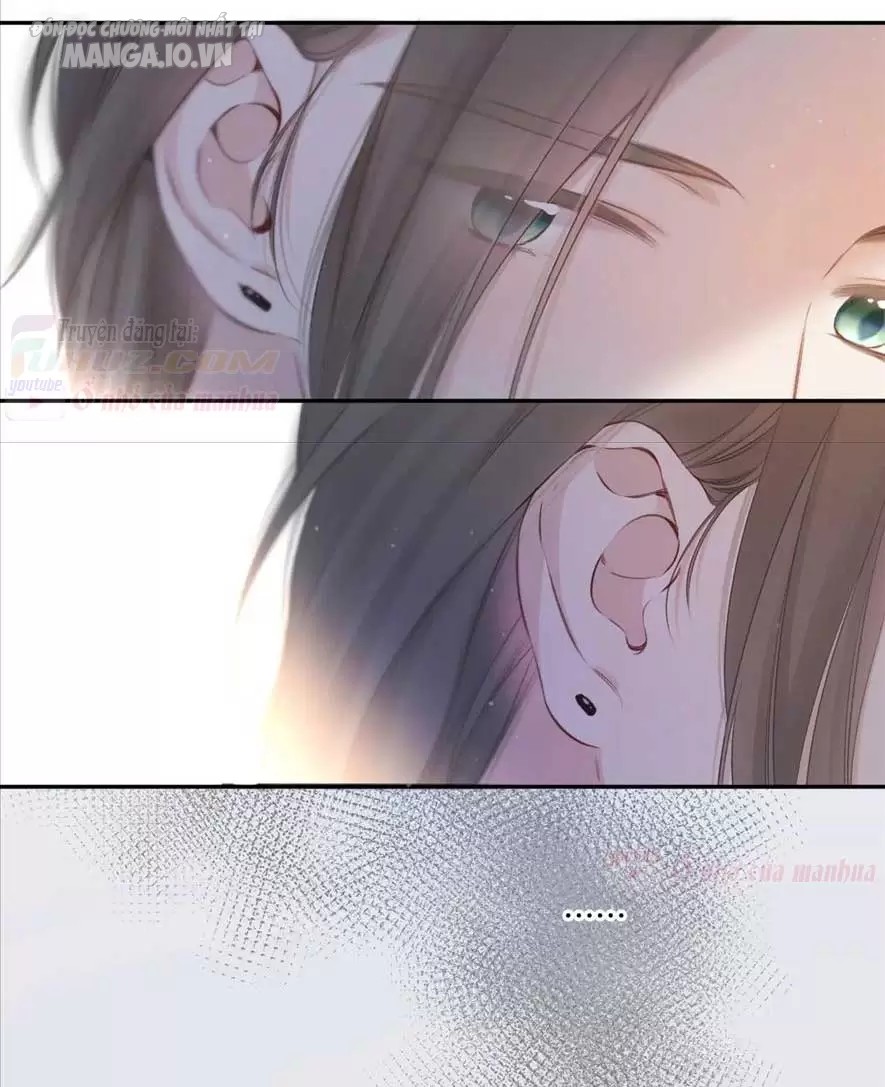 Bảo Vệ Siêu Sao Của Tôi Chapter 173 - Trang 2