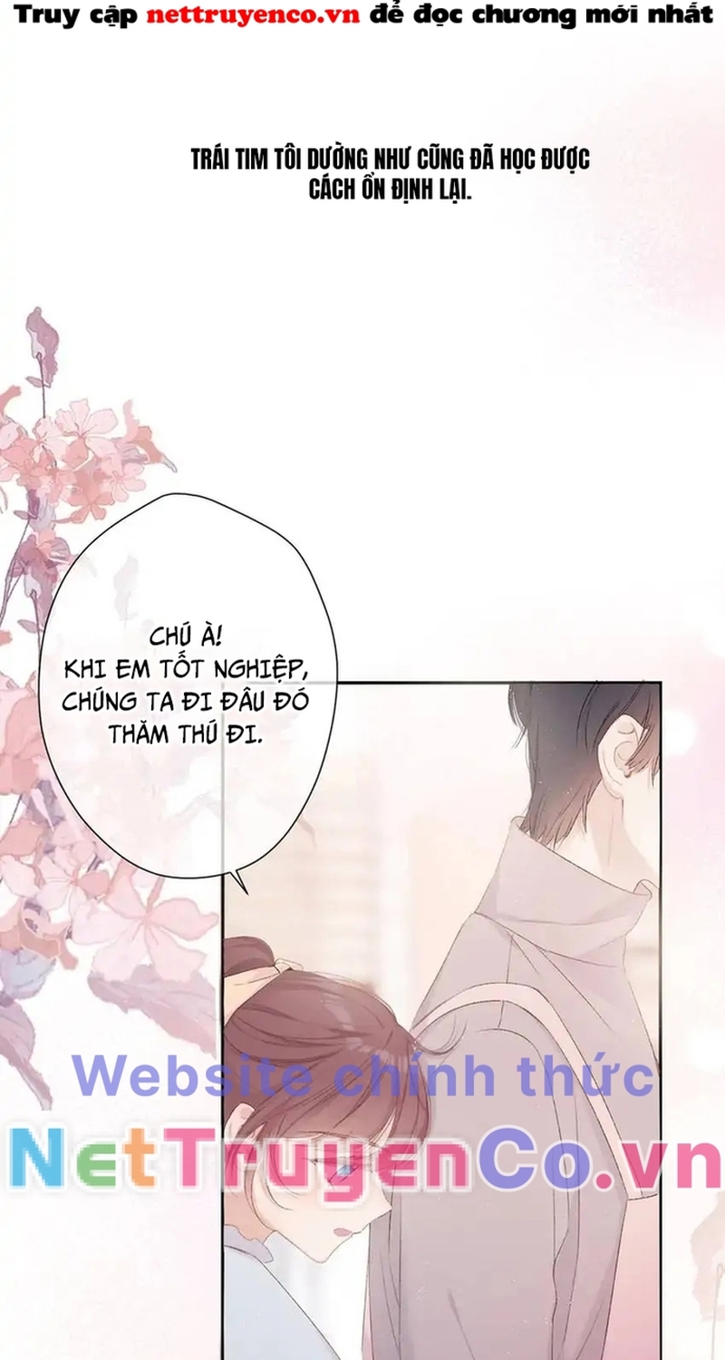 Bảo Vệ Siêu Sao Của Tôi Chapter 162 - Trang 2