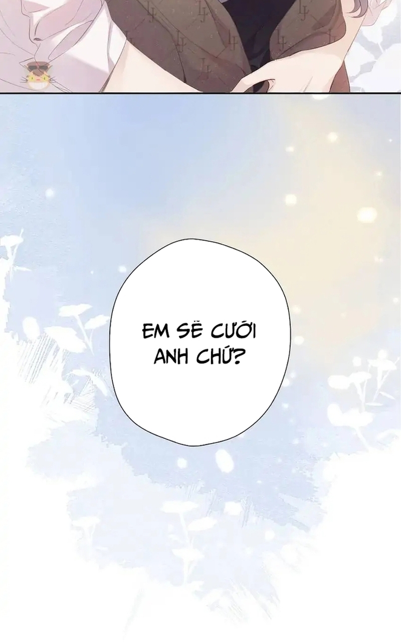 Bảo Vệ Siêu Sao Của Tôi Chapter 160 - Trang 2