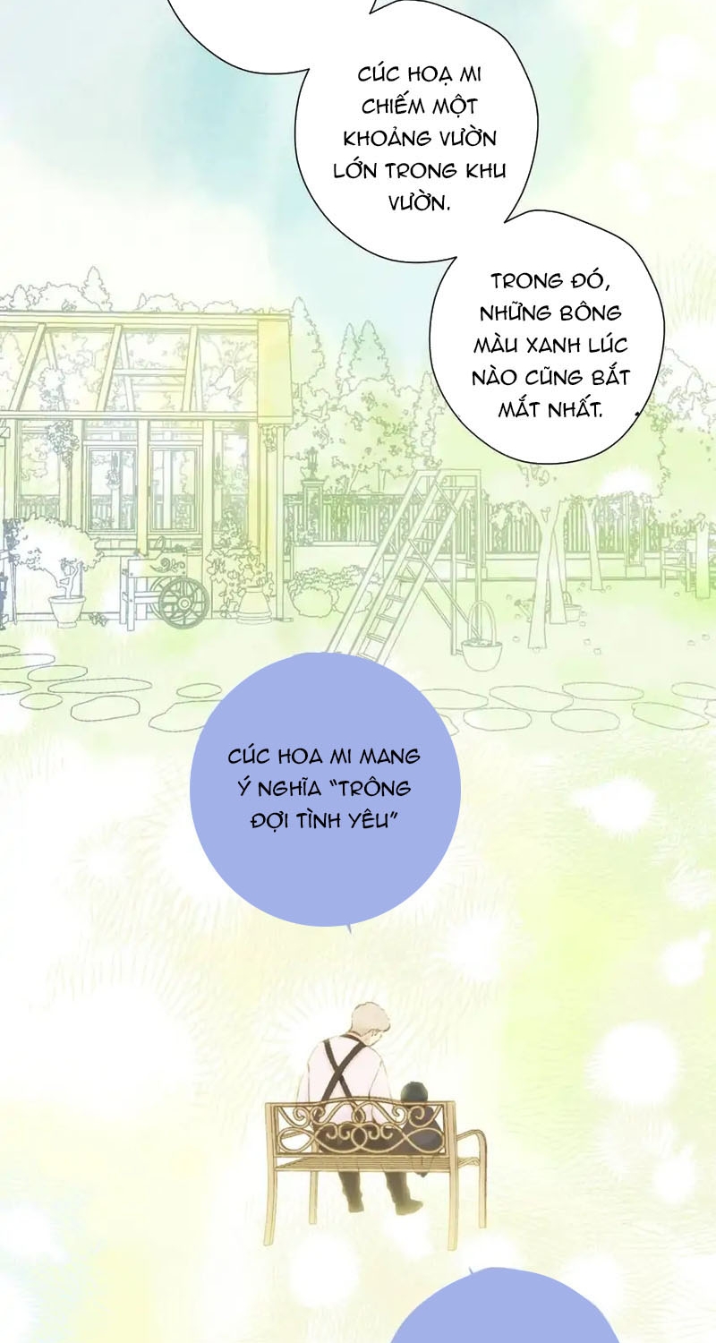 Bảo Vệ Siêu Sao Của Tôi Chapter 153 - Trang 2