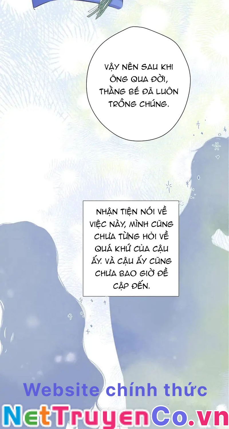 Bảo Vệ Siêu Sao Của Tôi Chapter 153 - Trang 2