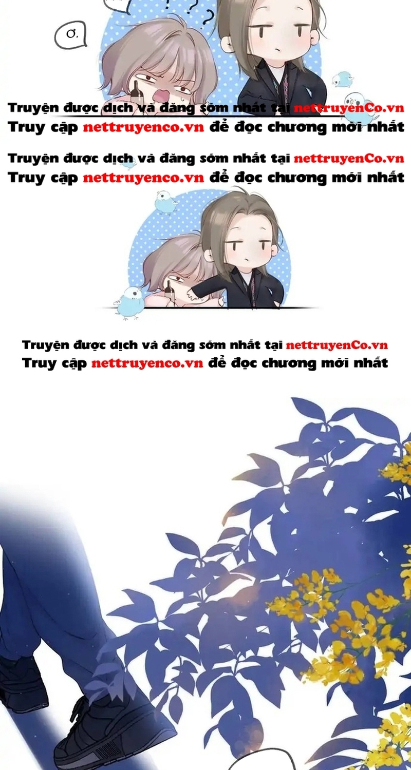 Bảo Vệ Siêu Sao Của Tôi Chapter 150 - Trang 2