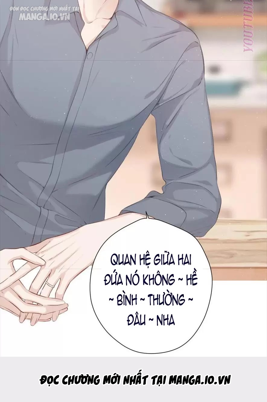 Bảo Vệ Siêu Sao Của Tôi Chapter 149 - Trang 2