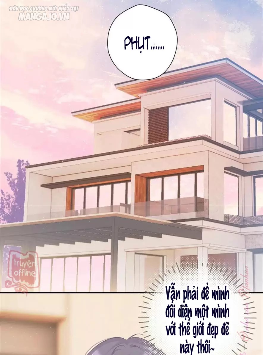 Bảo Vệ Siêu Sao Của Tôi Chapter 148 - Trang 2