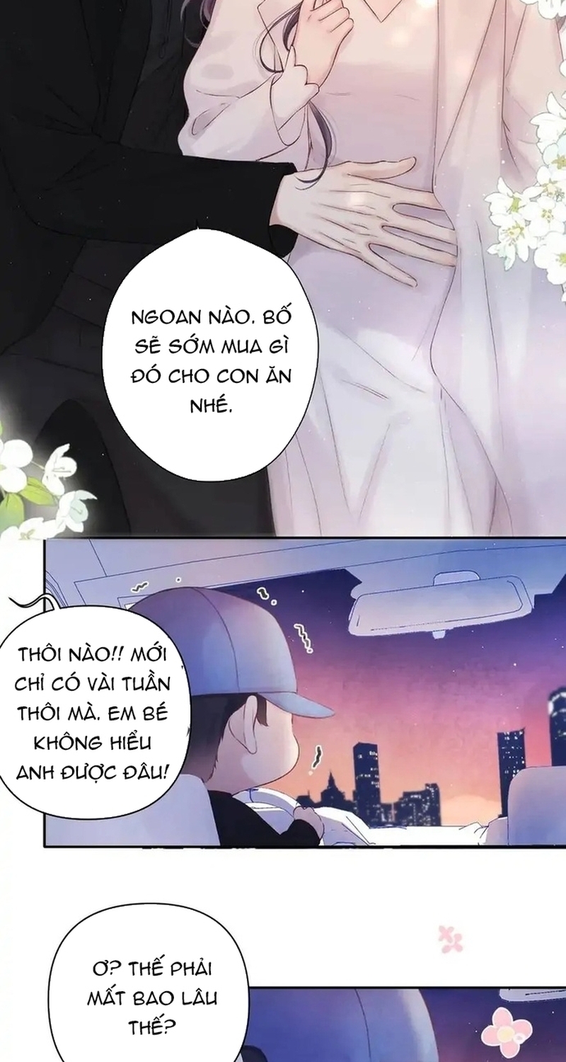 Bảo Vệ Siêu Sao Của Tôi Chapter 143 - Trang 2