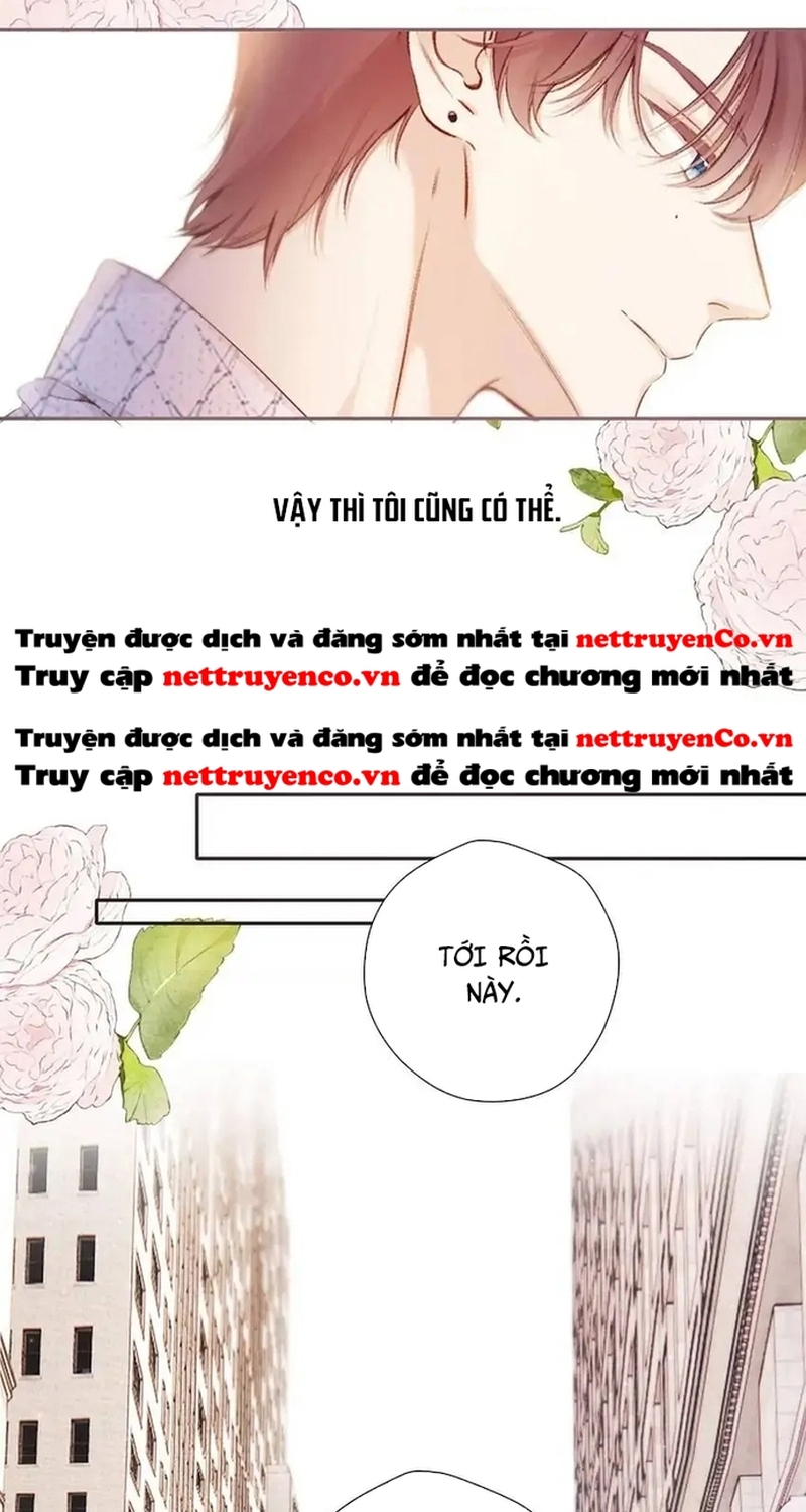 Bảo Vệ Siêu Sao Của Tôi Chapter 136 - Trang 2