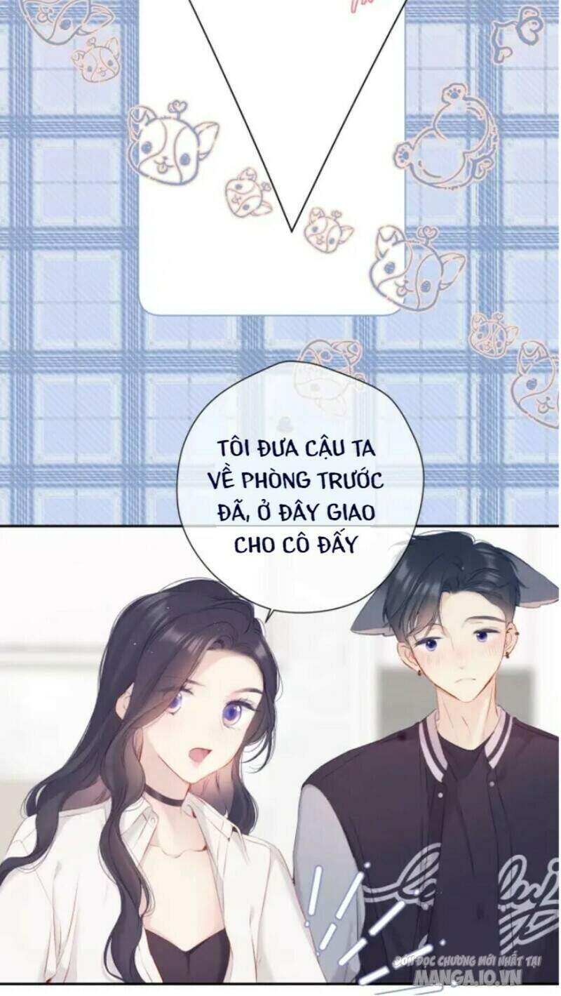 Bảo Vệ Siêu Sao Của Tôi Chapter 132 - Trang 2