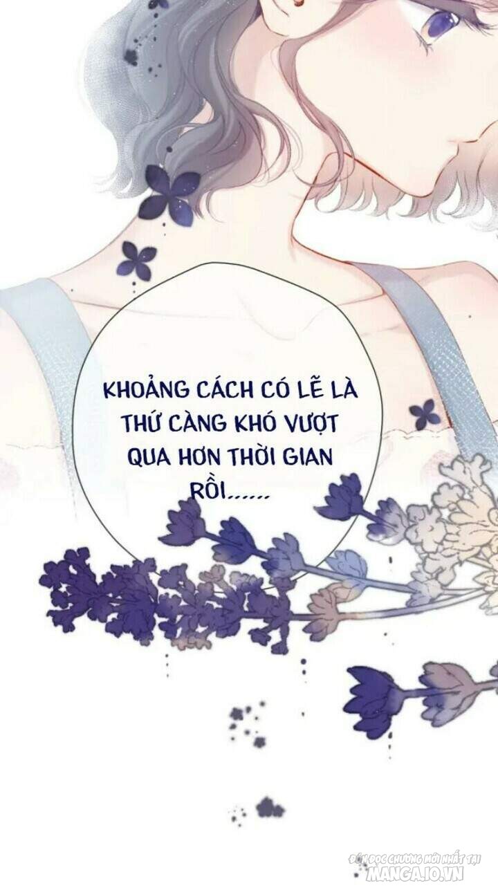 Bảo Vệ Siêu Sao Của Tôi Chapter 92 - Trang 2