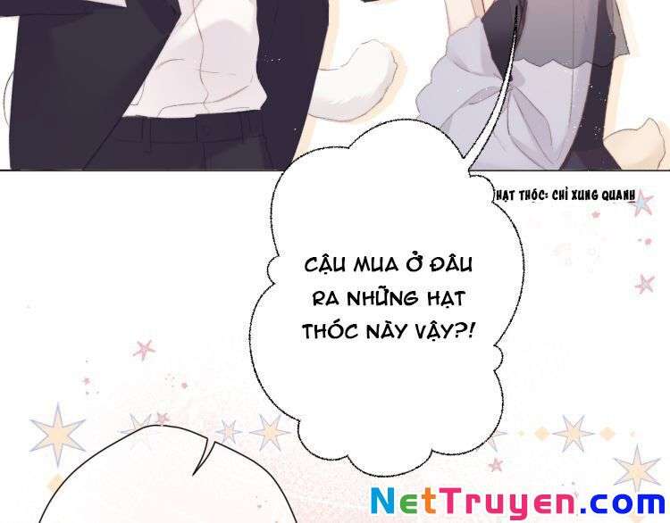 Bảo Vệ Siêu Sao Của Tôi Chapter 86 - Trang 2