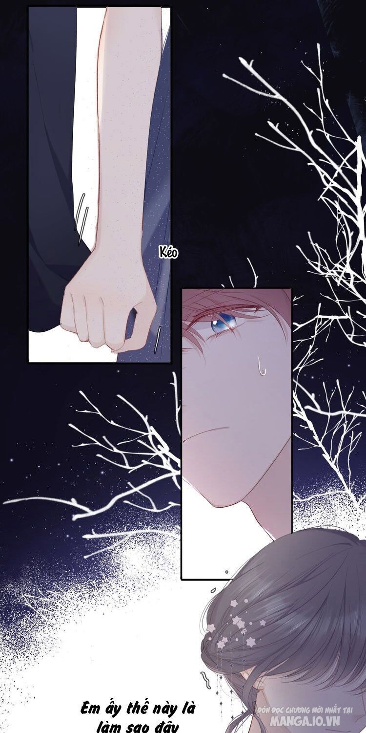 Bảo Vệ Siêu Sao Của Tôi Chapter 77 - Trang 2