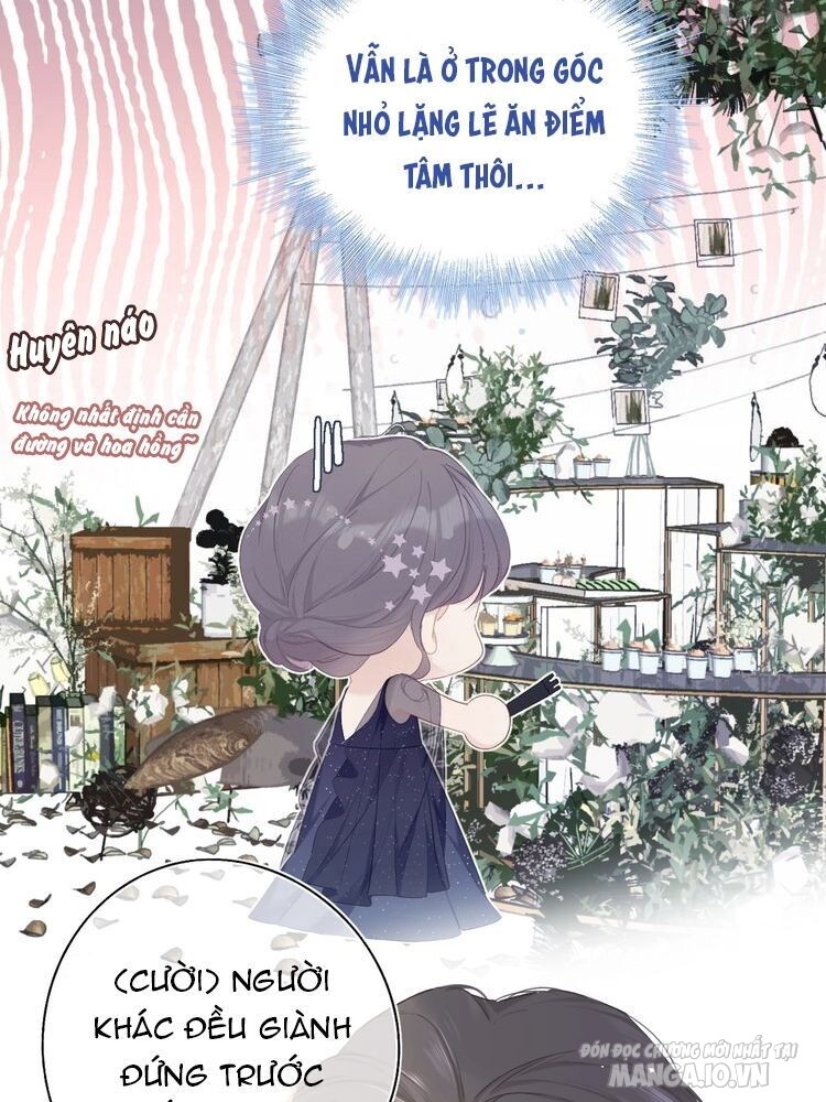 Bảo Vệ Siêu Sao Của Tôi Chapter 73 - Trang 2