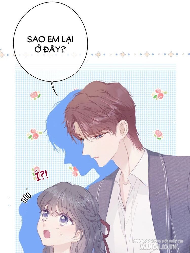 Bảo Vệ Siêu Sao Của Tôi Chapter 71 - Trang 2