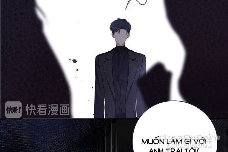 Bảo Vệ Siêu Sao Của Tôi Chapter 53 - Trang 2