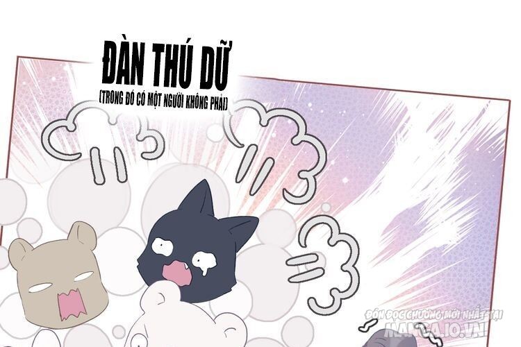 Bảo Vệ Siêu Sao Của Tôi Chapter 53 - Trang 2