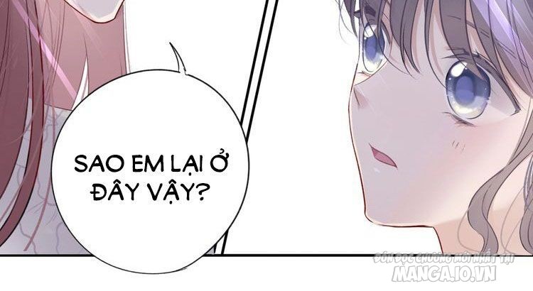 Bảo Vệ Siêu Sao Của Tôi Chapter 28 - Trang 2