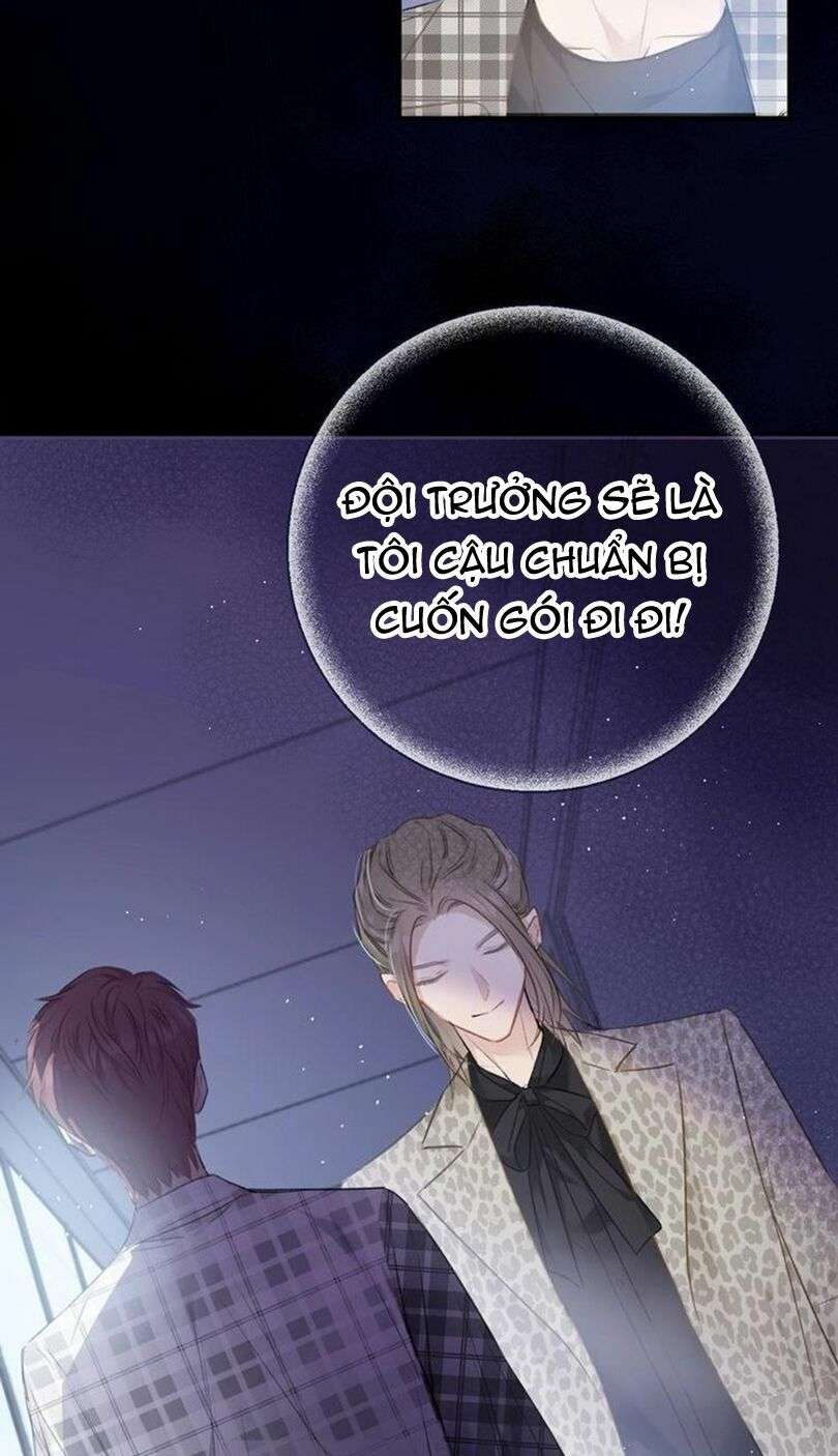 Bảo Vệ Siêu Sao Của Tôi Chapter 23 - Trang 2