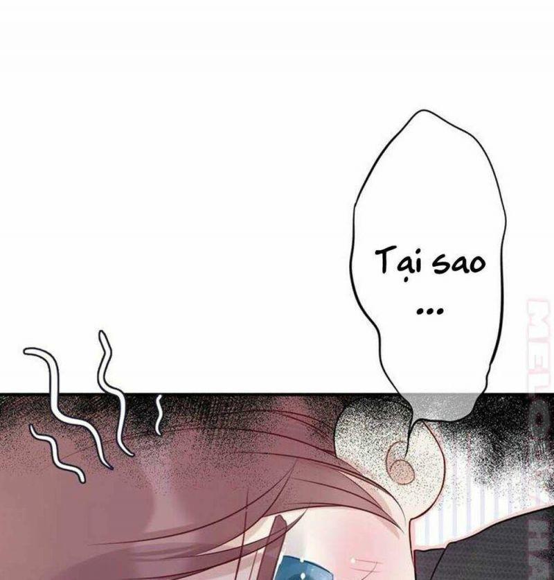 Bảo Vệ Siêu Sao Của Tôi Chapter 19 - Trang 2