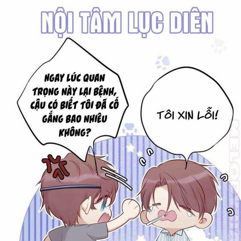 Bảo Vệ Siêu Sao Của Tôi Chapter 19 - Trang 2