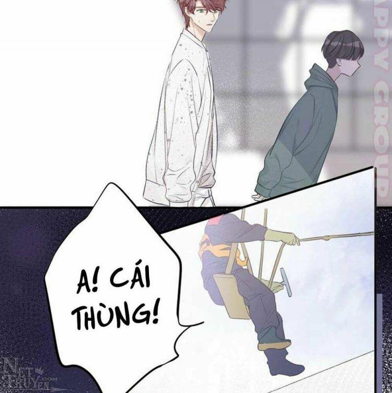 Bảo Vệ Siêu Sao Của Tôi Chapter 19 - Trang 2