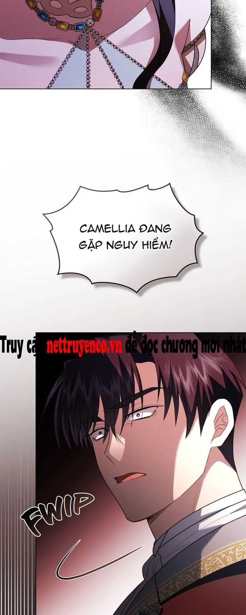 Tìm Lại Camellia Chapter 96 - Trang 2