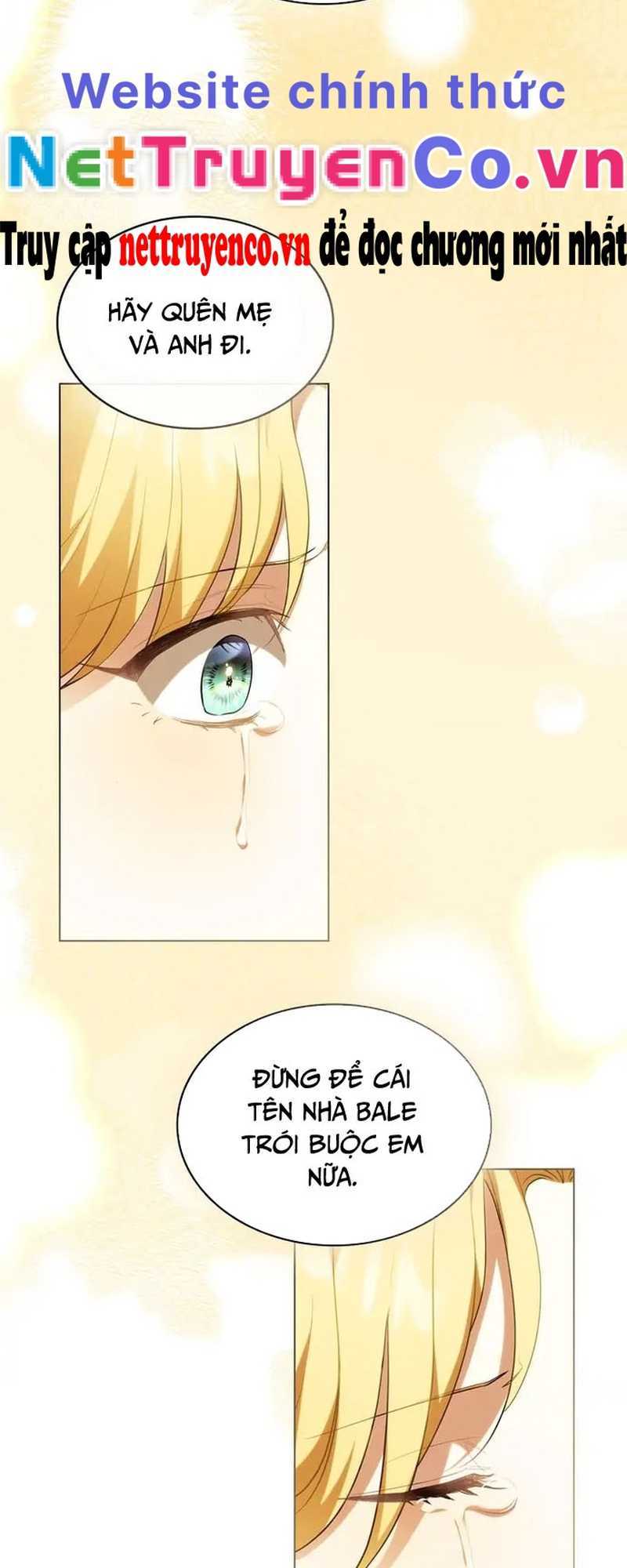 Tìm Lại Camellia Chapter 93 - Trang 2