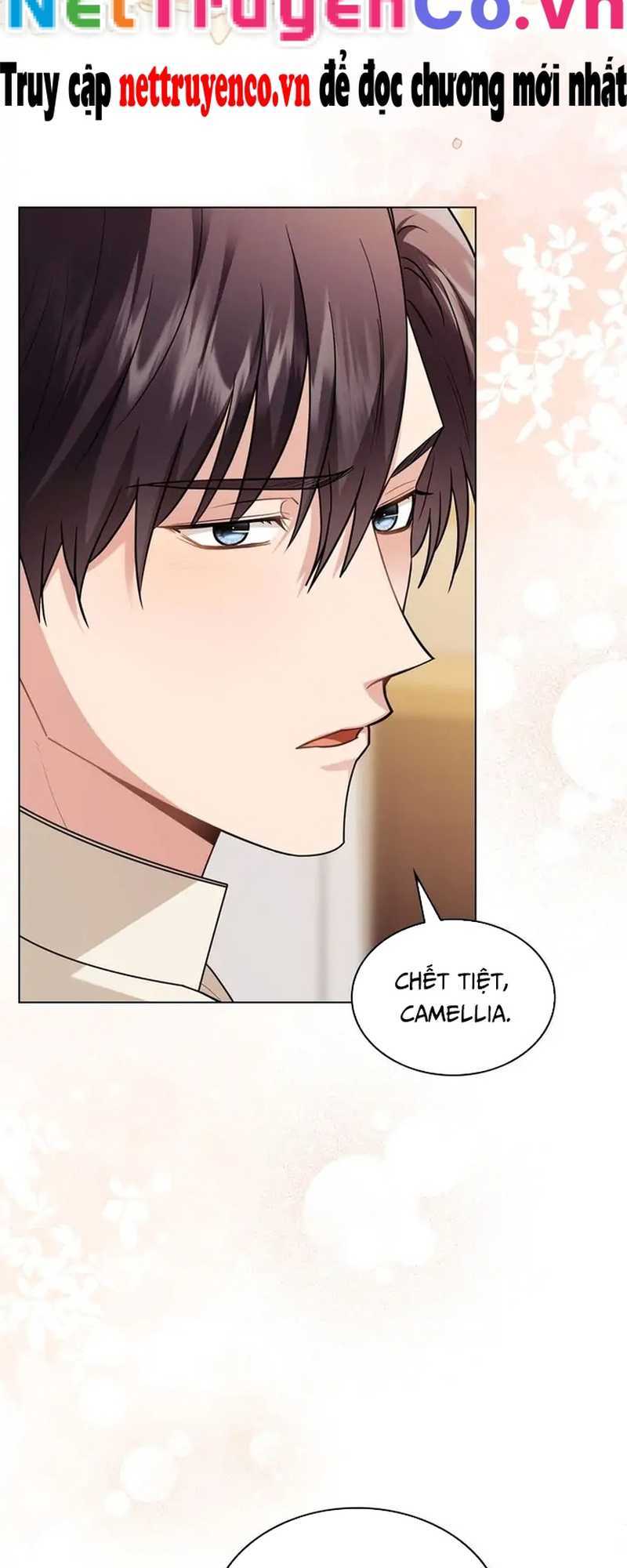 Tìm Lại Camellia Chapter 92 - Trang 2