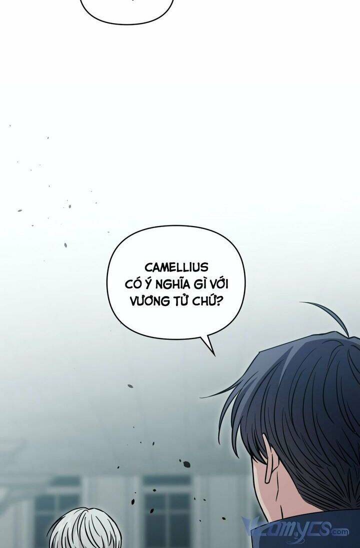 Tìm Lại Camellia Chapter 46 - Trang 2