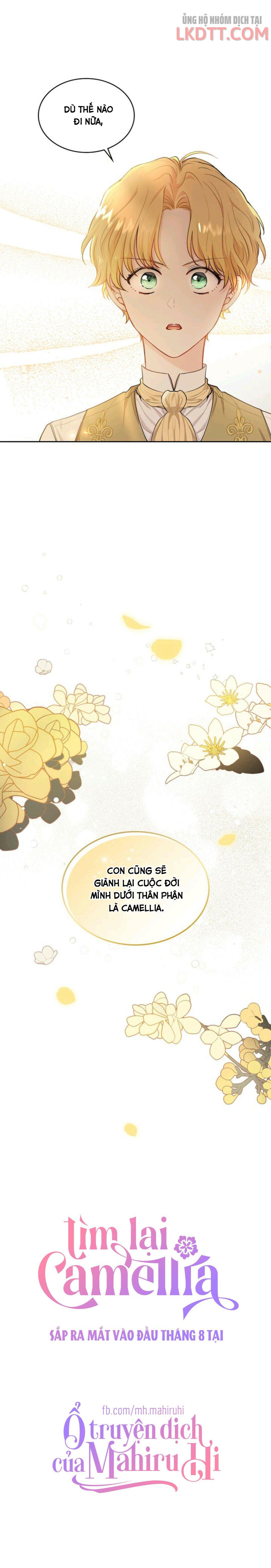 Tìm Lại Camellia Chapter 0 - Trang 2