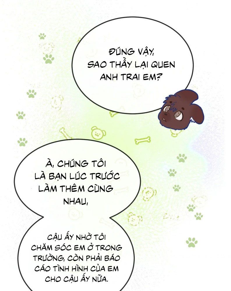 Cún Con Nói Dối Sẽ Bị Ăn Thịt Chapter 6 - Trang 2