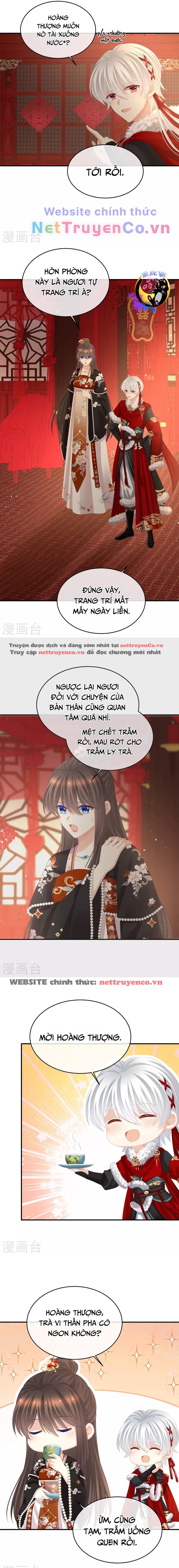 Hậu Cung Của Nữ Đế Chapter 384 - Trang 2