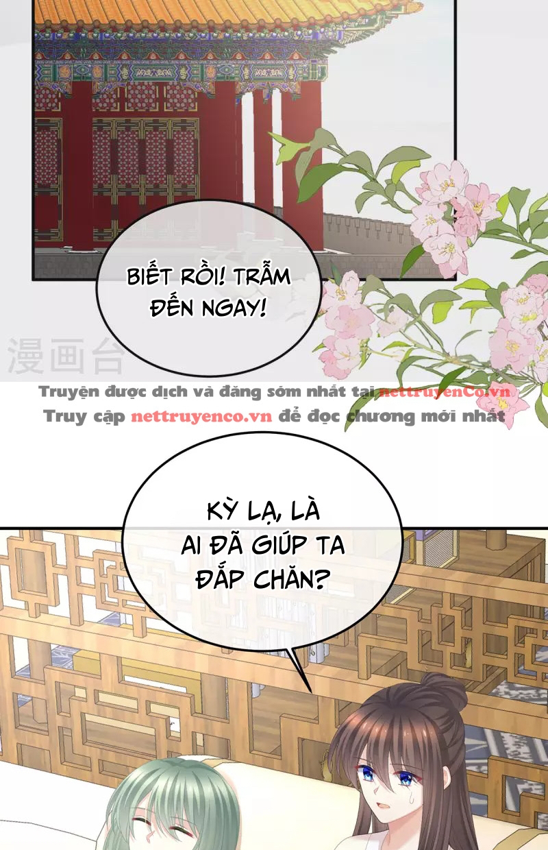 Hậu Cung Của Nữ Đế Chapter 377 - Trang 2