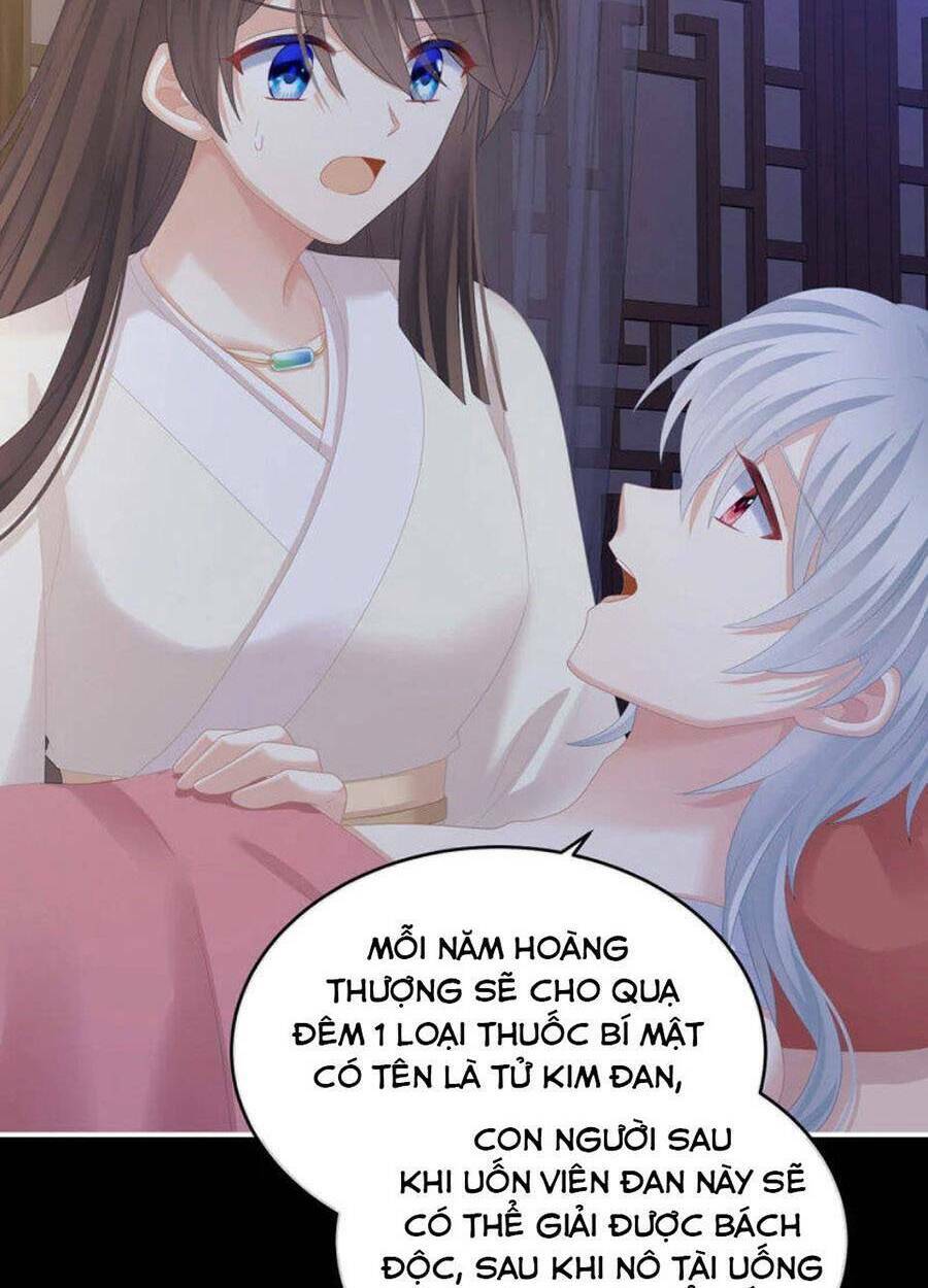 Hậu Cung Của Nữ Đế Chapter 305 - Trang 2