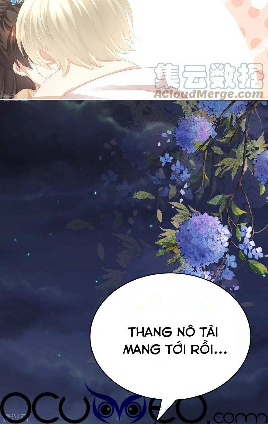 Hậu Cung Của Nữ Đế Chapter 268 - Trang 2