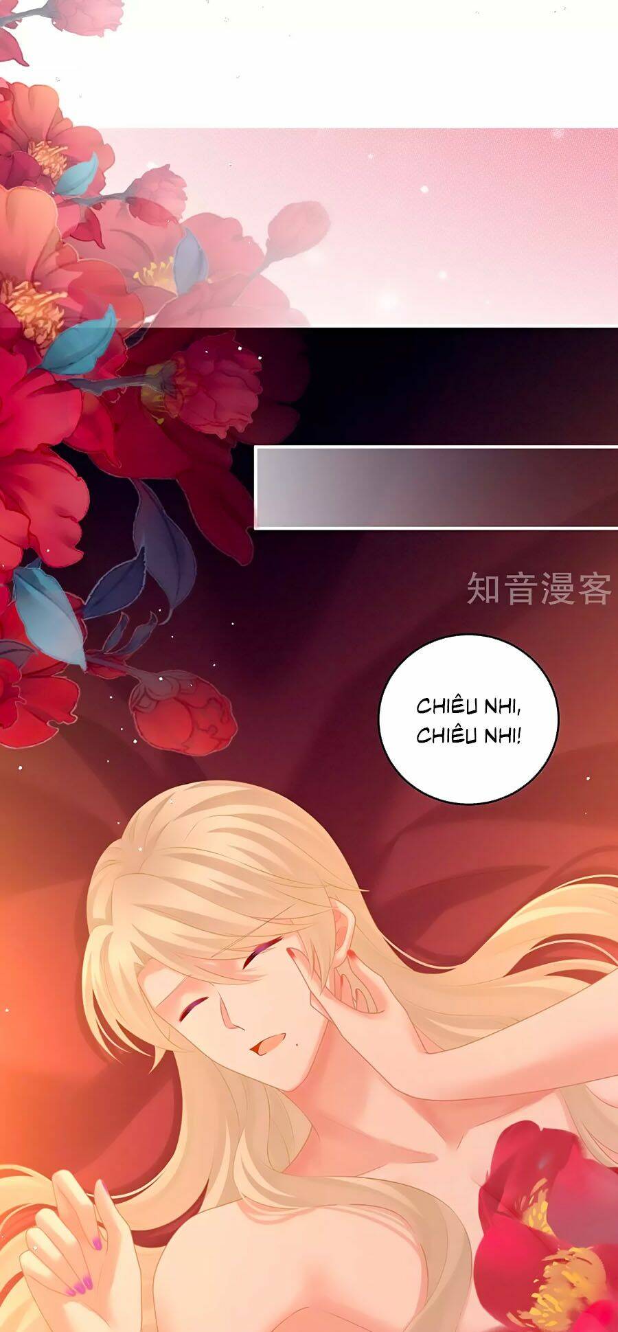 Hậu Cung Của Nữ Đế Chapter 212 - Trang 2