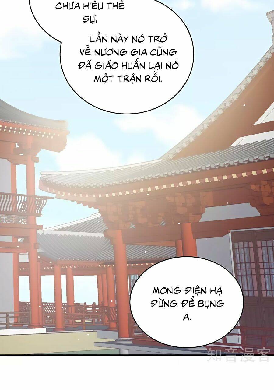 Hậu Cung Của Nữ Đế Chapter 202 - Trang 2