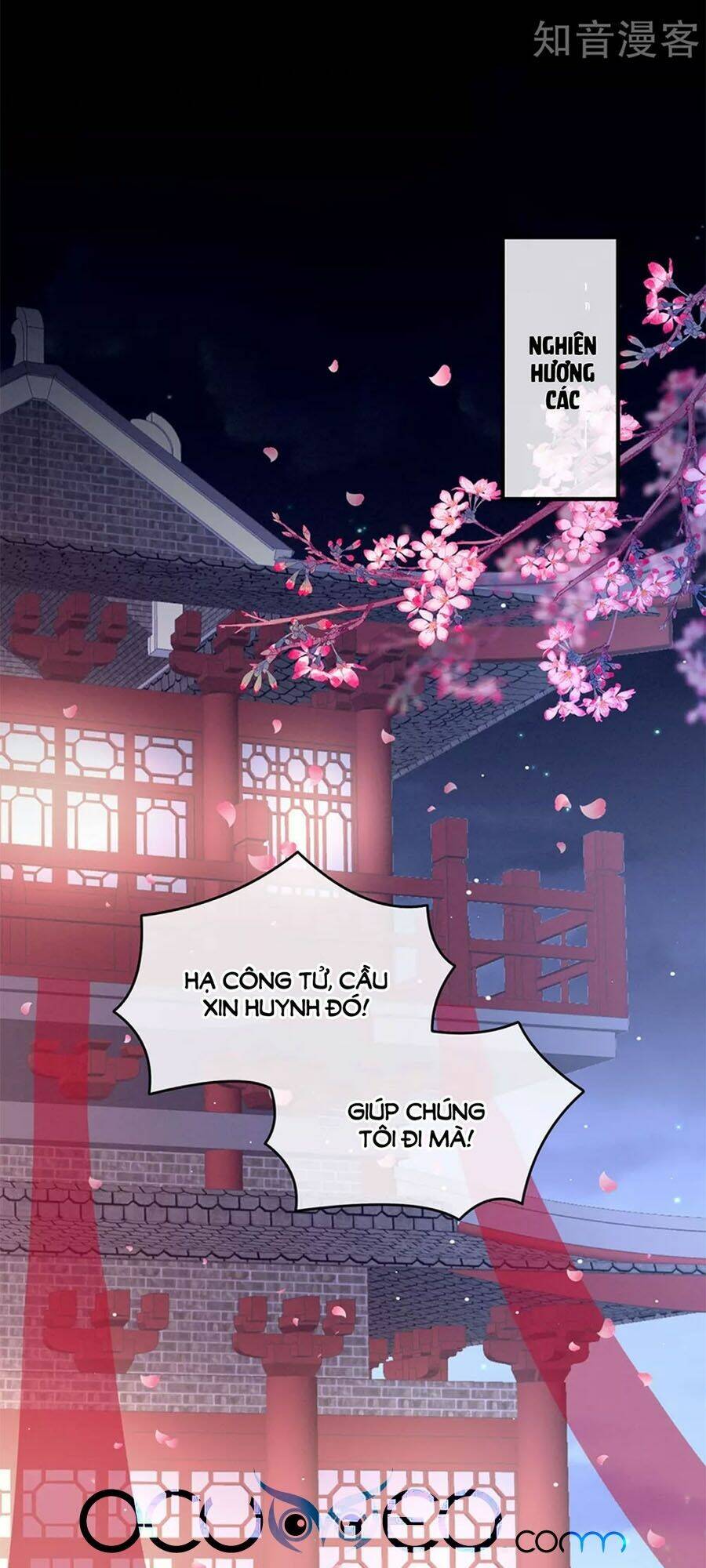 Hậu Cung Của Nữ Đế Chapter 171 - Trang 2