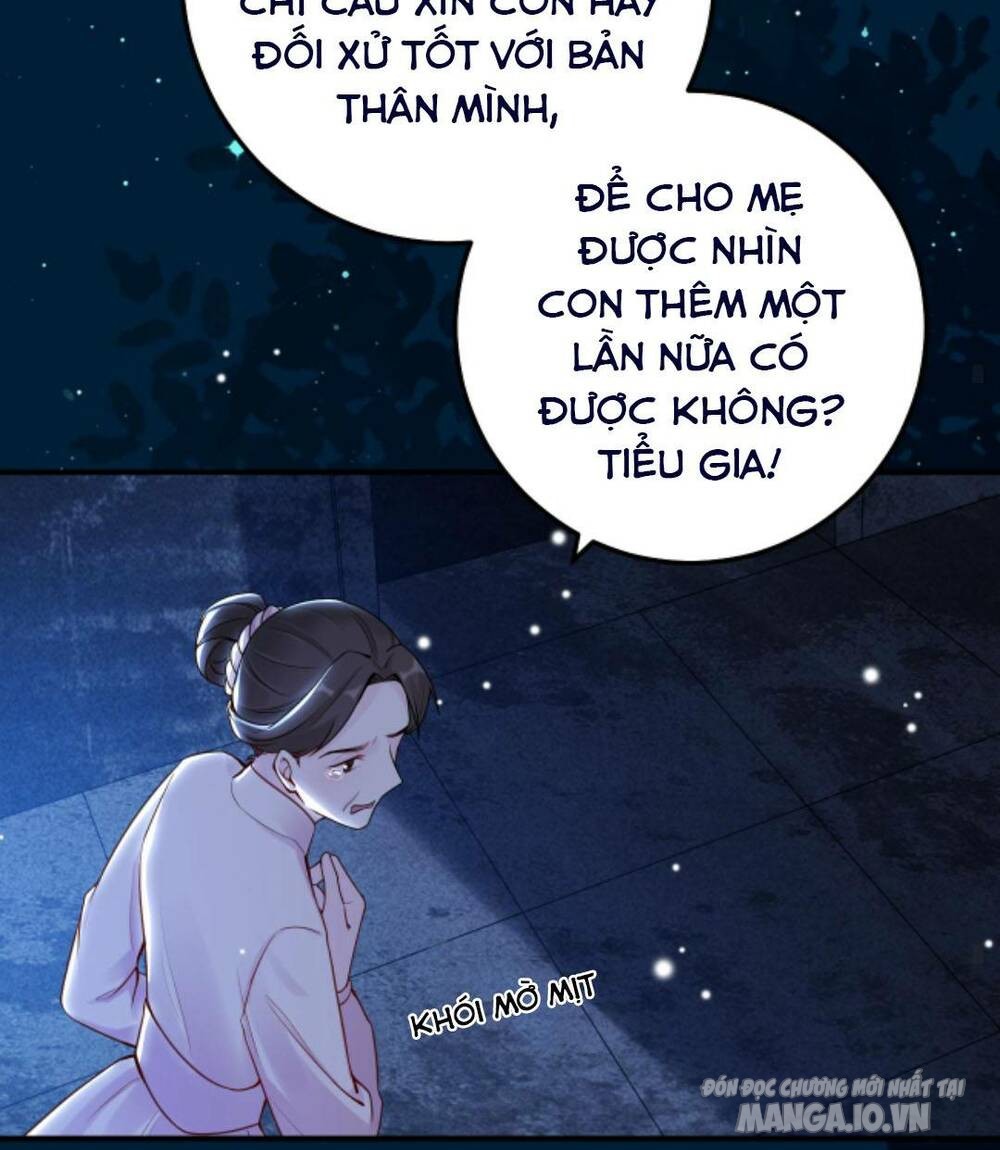 Đứng Yên! Em Gái Chúng Tôi Nói Trên Đầu Bạn Có Quỷ Chapter 77 - Trang 2