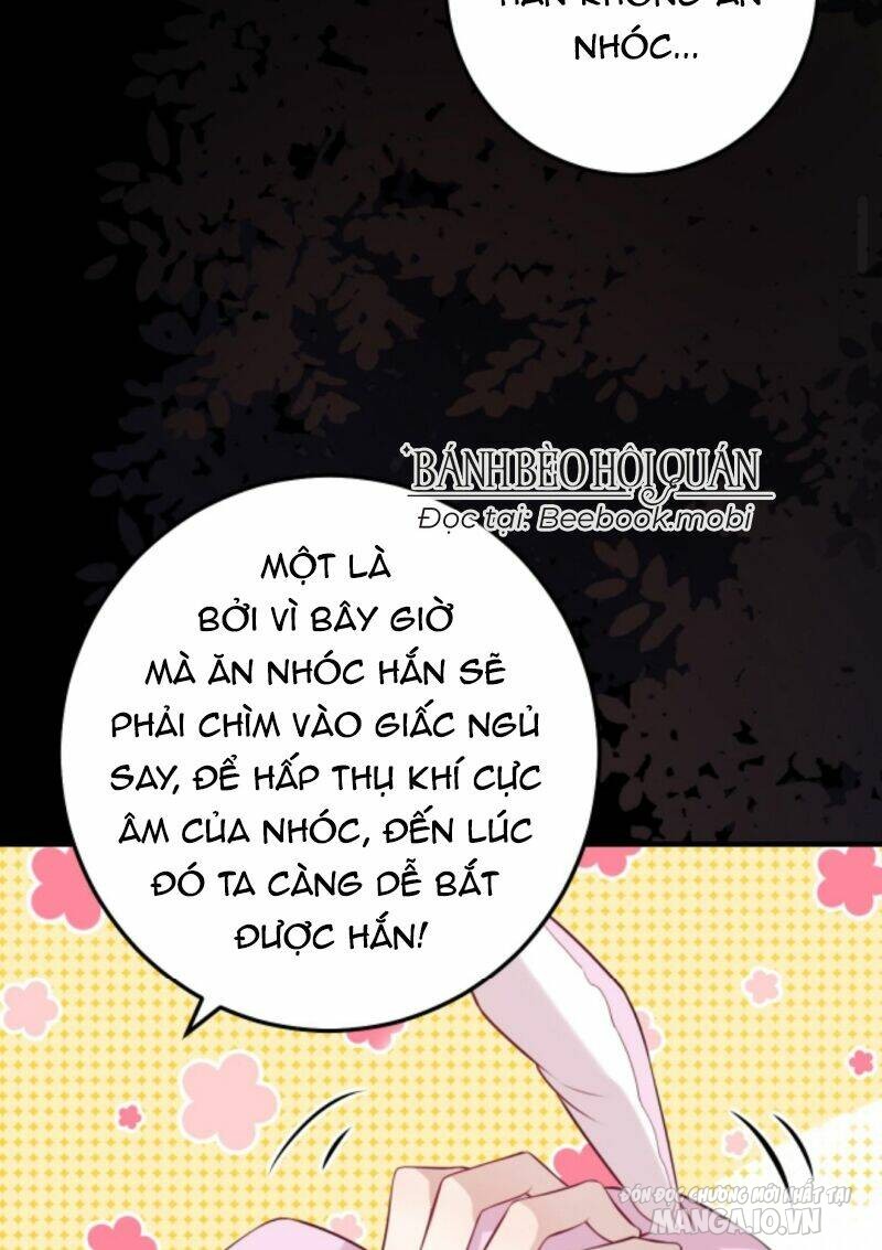 Đứng Yên! Em Gái Chúng Tôi Nói Trên Đầu Bạn Có Quỷ Chapter 38 - Trang 2