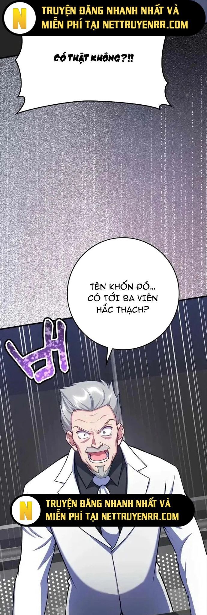 Người Chơi Cấp Tối Đa Chapter 31 - Trang 2