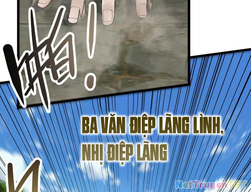 Giết Ta Thêm Vài Lần Nữa, Ta Liền Trở Thành Vô Địch! Chapter 39 - Trang 2