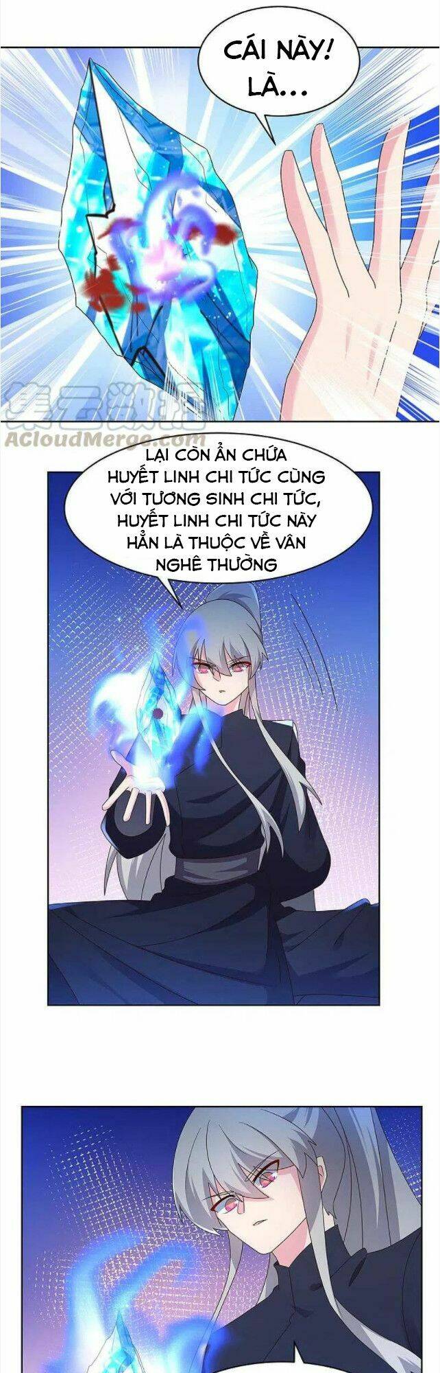 Tôn Thượng Chapter 235 - Trang 2