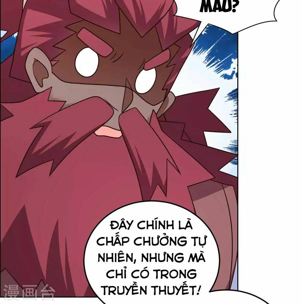 Tôn Thượng Chapter 186 - Trang 2